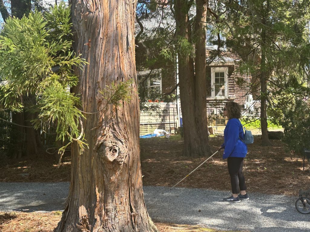 Person in a blue jacket stands in a backyard beside a large tree trunk, holding a white cane and looking to the right.